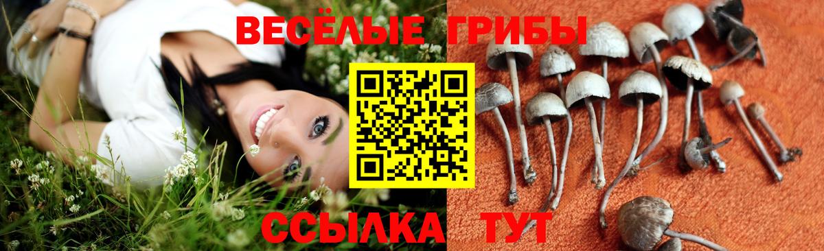 Псилоцибиновые грибы GOLDEN TEACHER  Вход с VPN  Ростов-на-Дону  Псилоцибиновые грибы ЛСД 